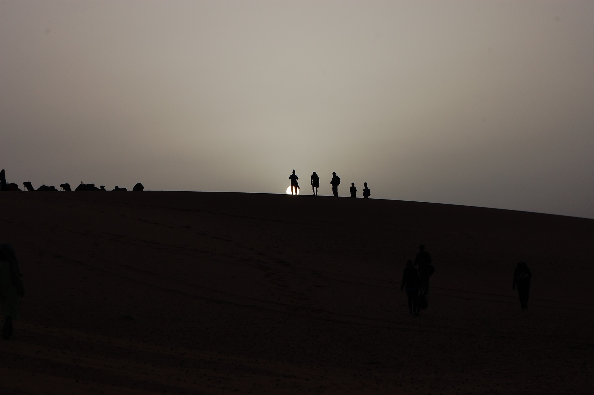 Image: Sunrise in the desert